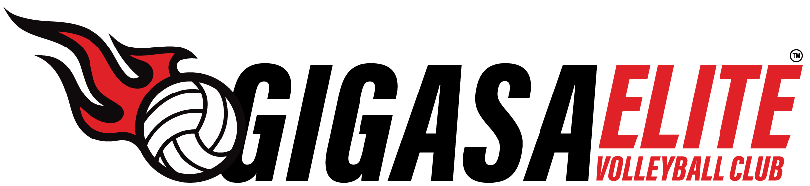 Gigasa Elite Volleyball Club Logo
