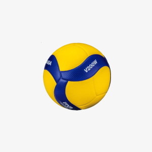 Training Volleyball